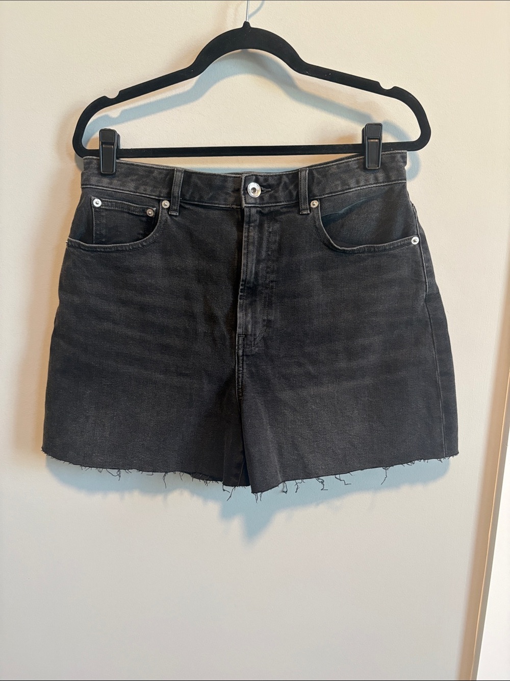 Everlane “The Long Denim Short” - Black High-Rise Frayed Hem Denim Shorts